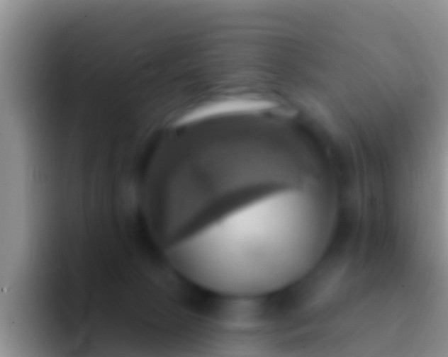 X0000092110081200709262206