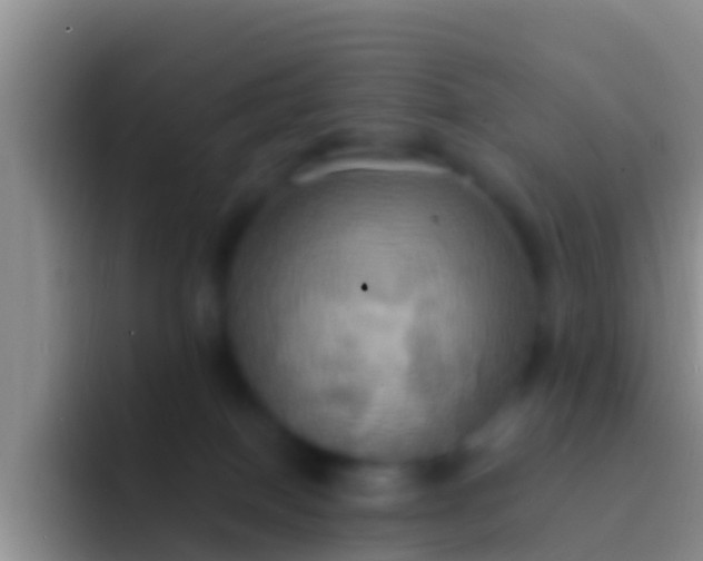 X0000092110086200709262206