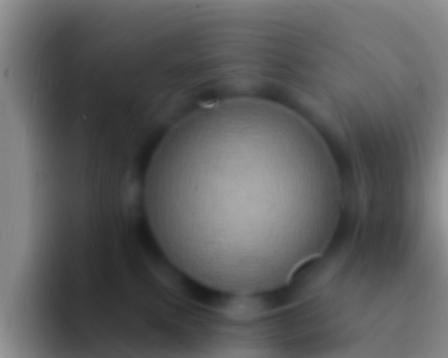 X0000092110087200709262206