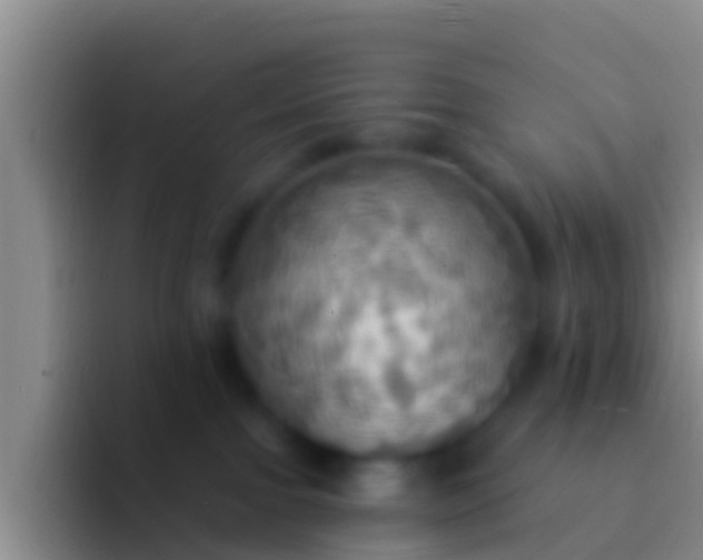 X0000092110091200709262207