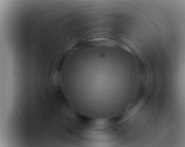 X0000092110093200709262207