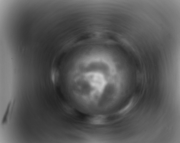 X0000092110094200709262207