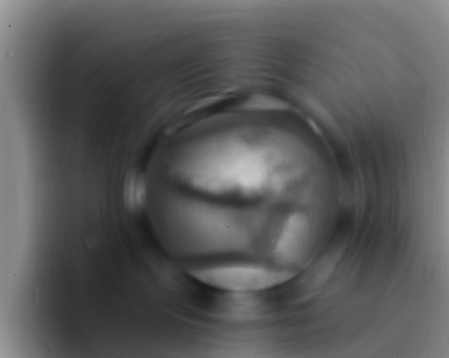 X0000092110095200709262207