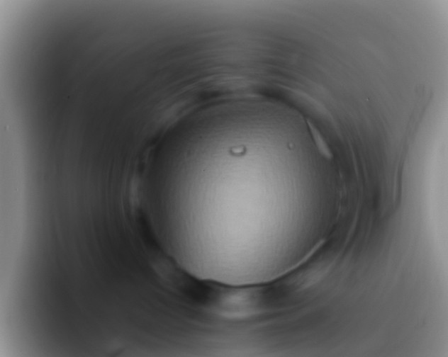 X0000092110096200709262207