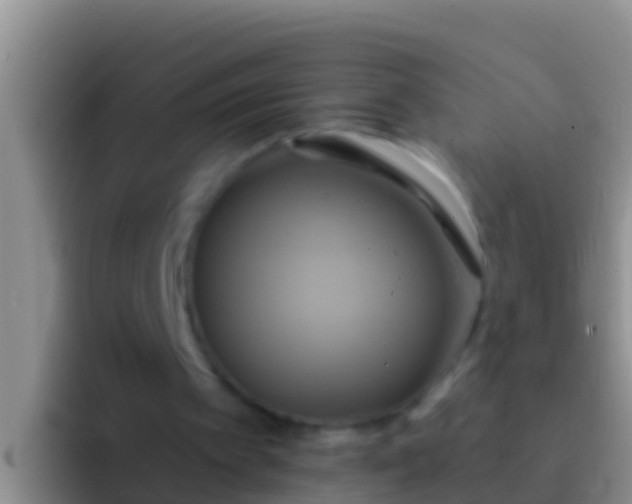 X0000092110097200709262206