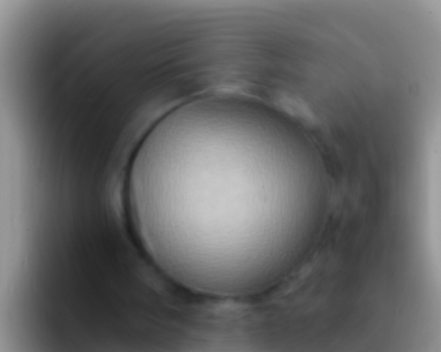 X0000092110098200709262206