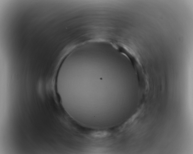 X0000092110099200709262206