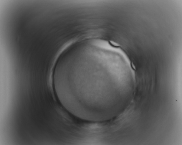 X0000092110100200709262206