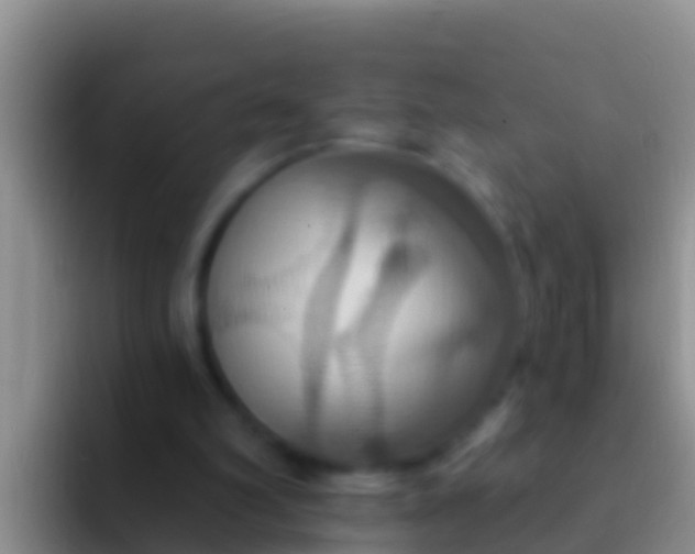 X0000092110102200709262206