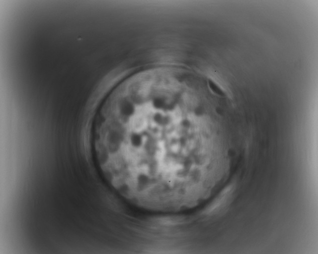 X0000092110103200709262206