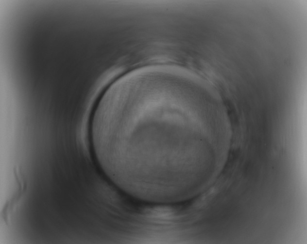 X0000092110104200709262206