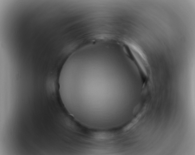 X0000092110105200709262206