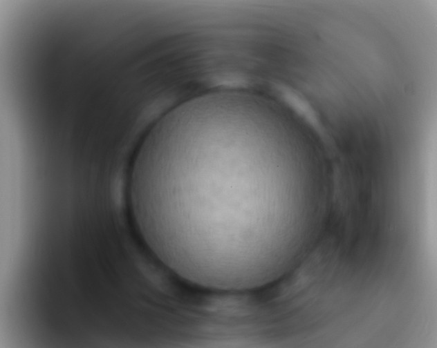 X0000092110106200709262206