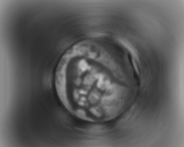 X0000092110107200709262206