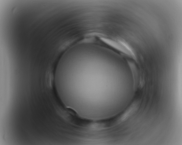 X0000092110109200709262206