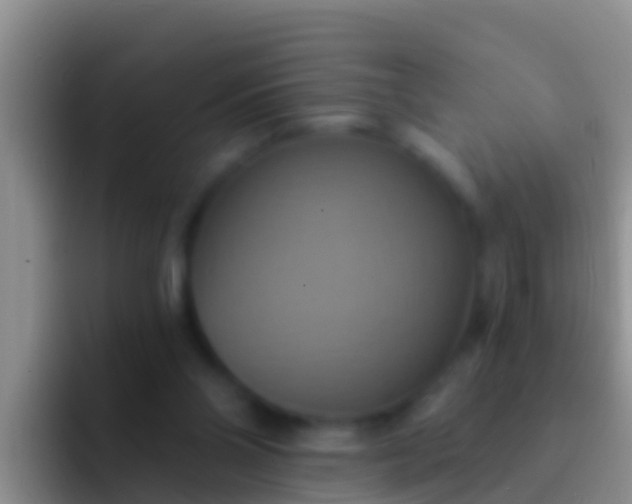 X0000092110110200709262206