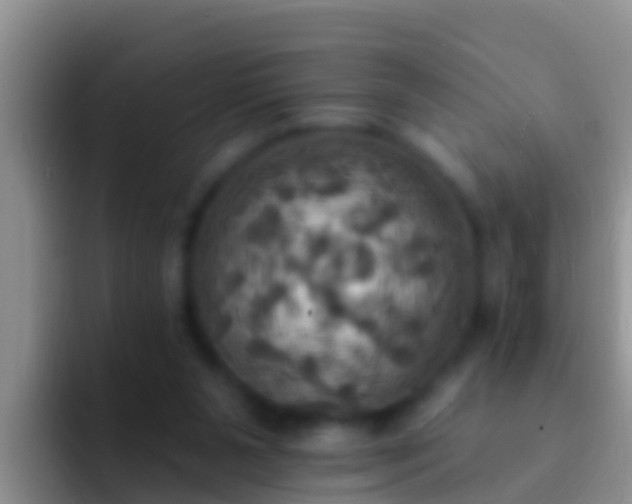 X0000092110111200709262206