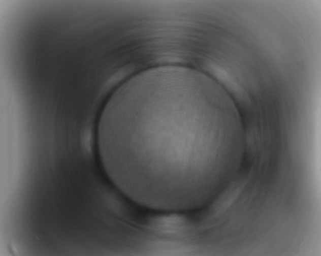 X0000092110112200709262206