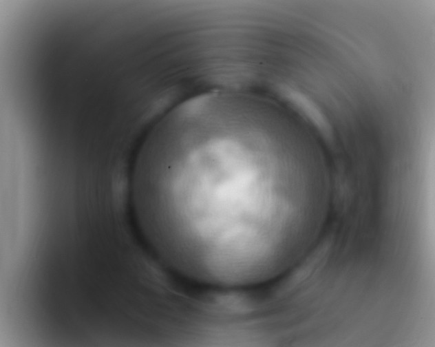 X0000092110113200709262206