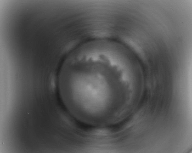 X0000092110115200709262206