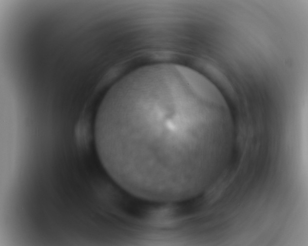 X0000092110116200709262206