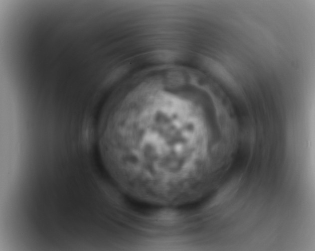 X0000092110119200709262206