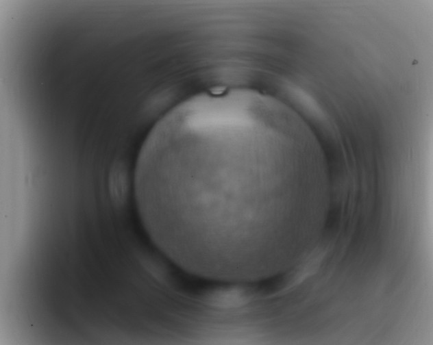 X0000092110120200709262206