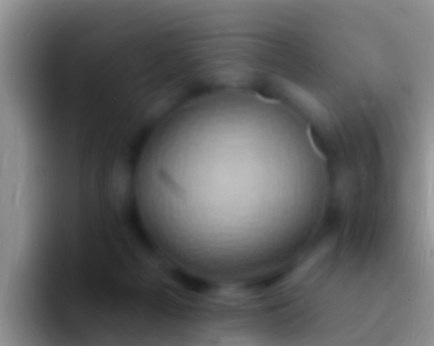 X0000092110121200709262206