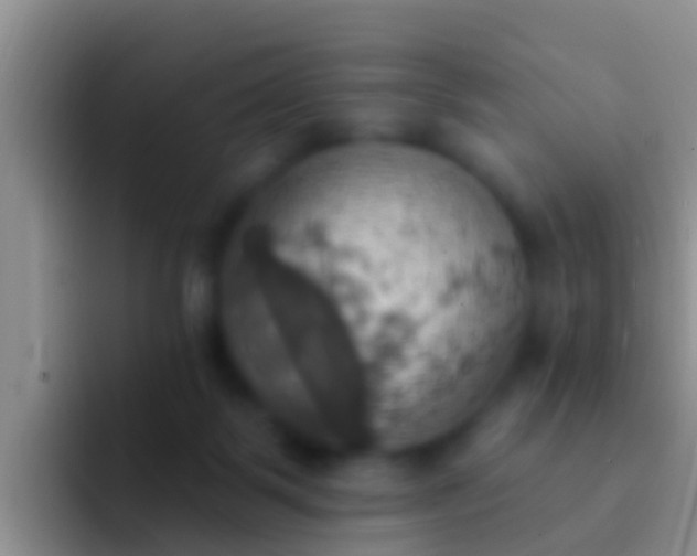 X0000092110123200709262206