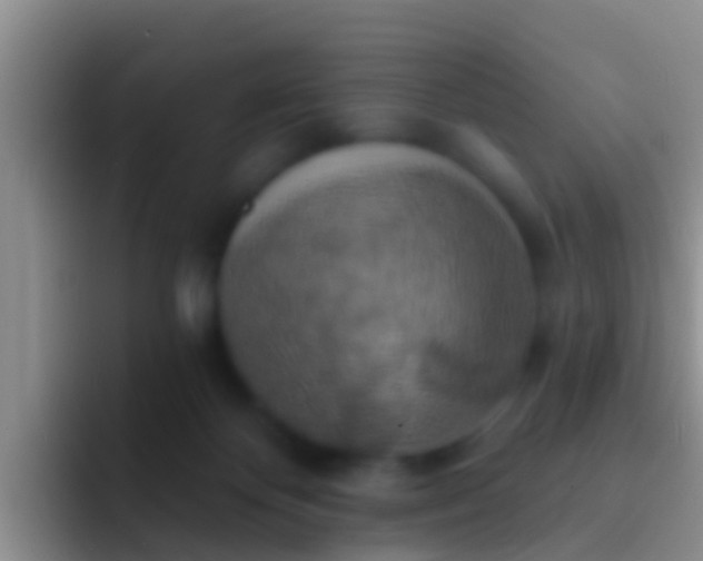 X0000092110124200709262206