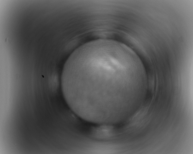 X0000092110128200709262206