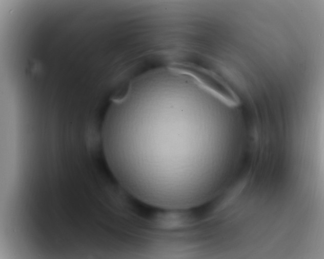 X0000092110129200709262206