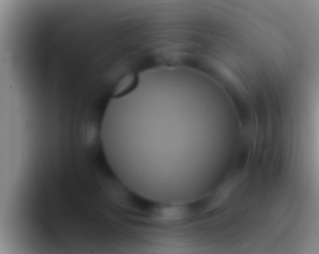 X0000092110134200709262206