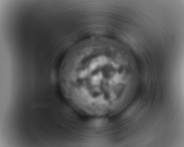 X0000092110135200709262206