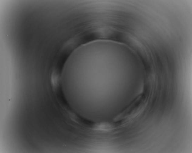 X0000092110137200709262206