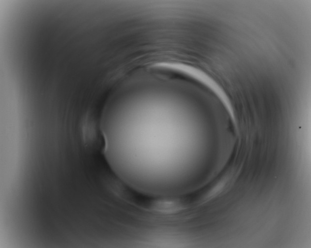 X0000092110139200709262206