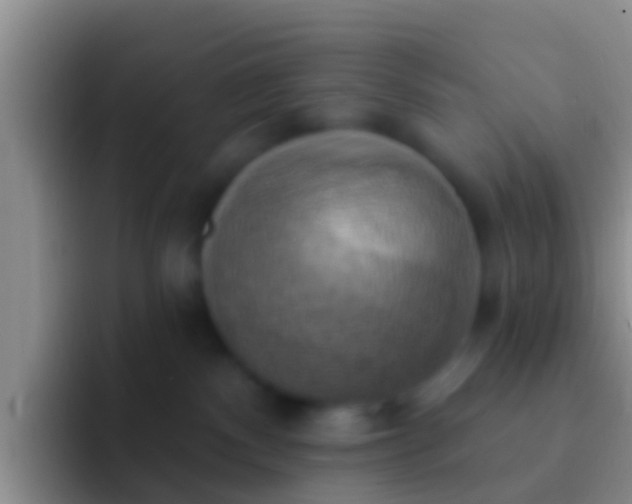 X0000092110140200709262206