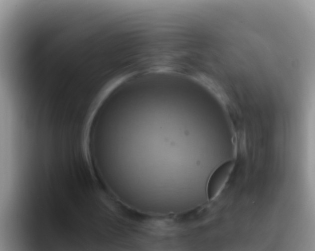 X0000092110147200709262205