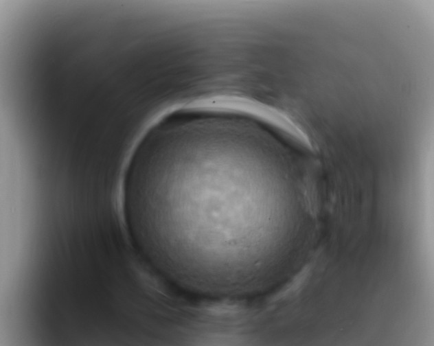 X0000092110148200709262205