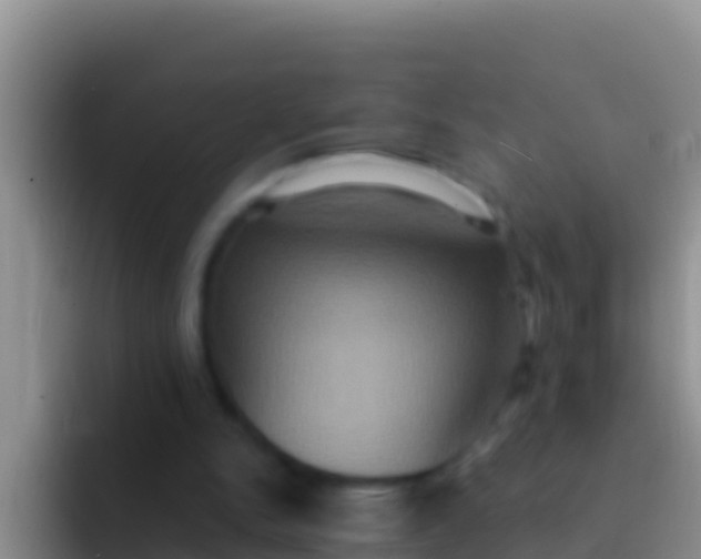 X0000092110150200709262205