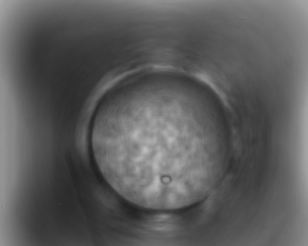 X0000092110151200709262205