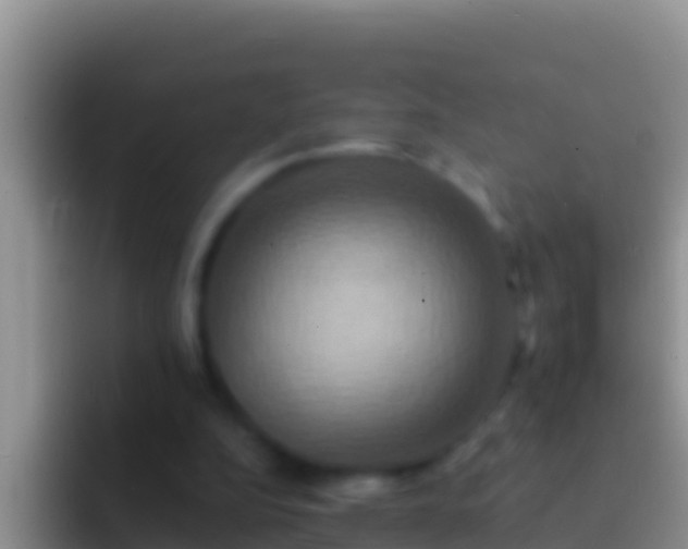 X0000092110152200709262205