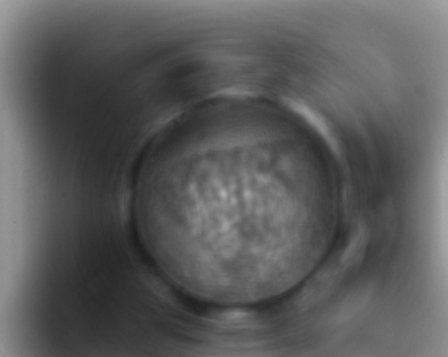 X0000092110153200709262205