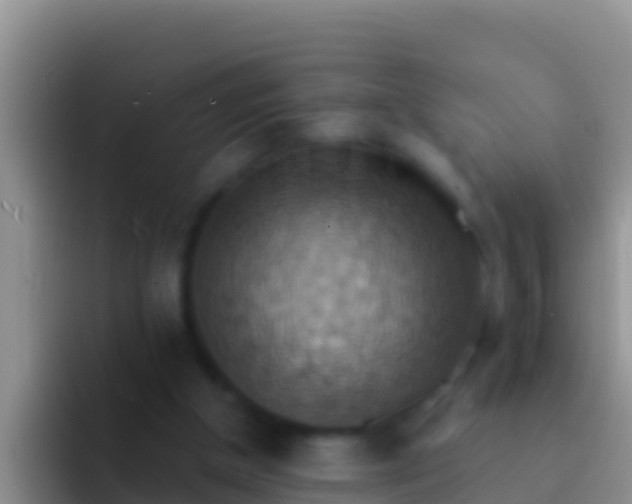 X0000092110154200709262205