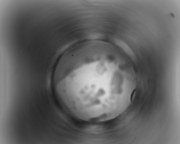 X0000092110155200709262205