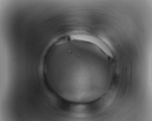 X0000092110156200709262205