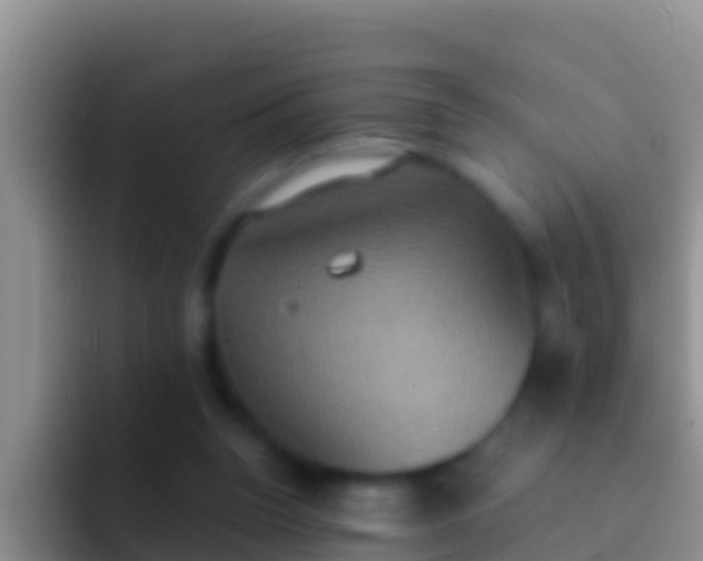 X0000092110160200709262205