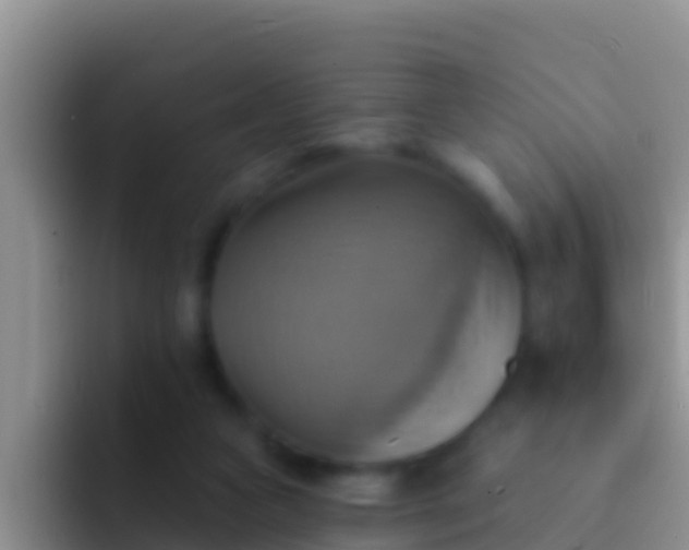 X0000092110161200709262205