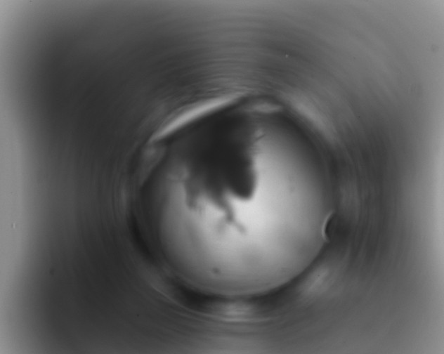 X0000092110165200709262205