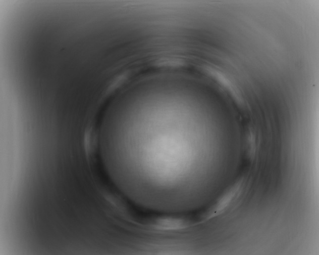 X0000092110168200709262205